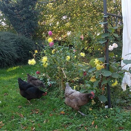 Villa Aosta Aoste Dış mekan fotoğraf
